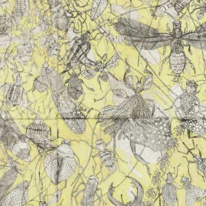 Insect World Detail - Claire Burbridge Art